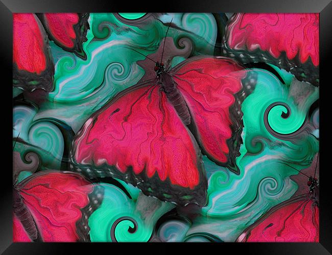 Hot Pink Butterfly Framed Print by Heather Newton