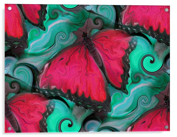Hot Pink Butterfly Acrylic by Heather Newton
