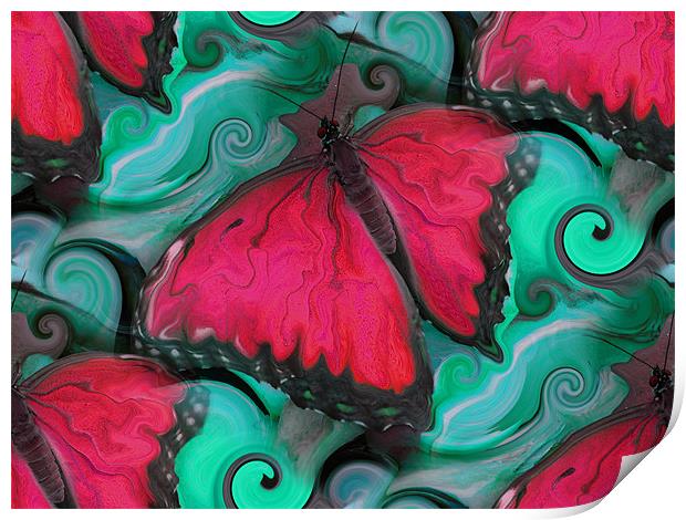 Hot Pink Butterfly Print by Heather Newton