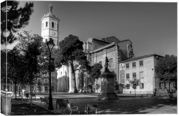 Cathedral of Valladolid - B&W Canvas Print by Tom Gomez