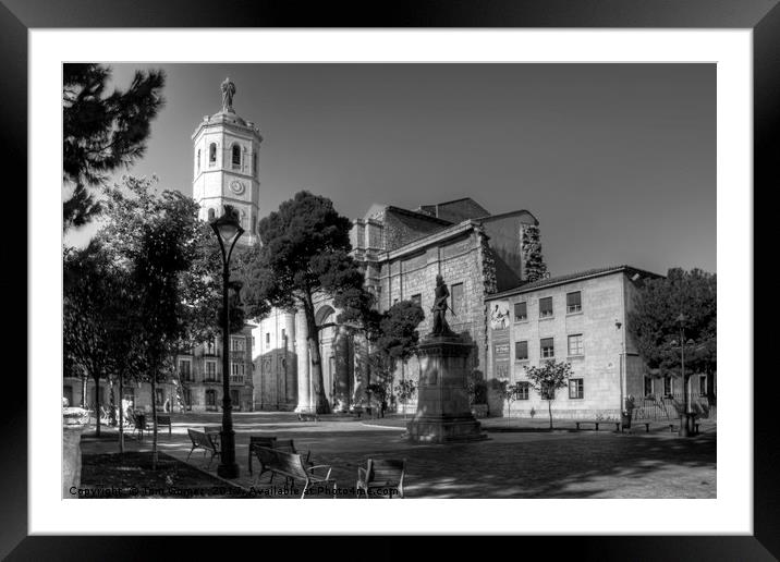 Cathedral of Valladolid - B&W Framed Mounted Print by Tom Gomez