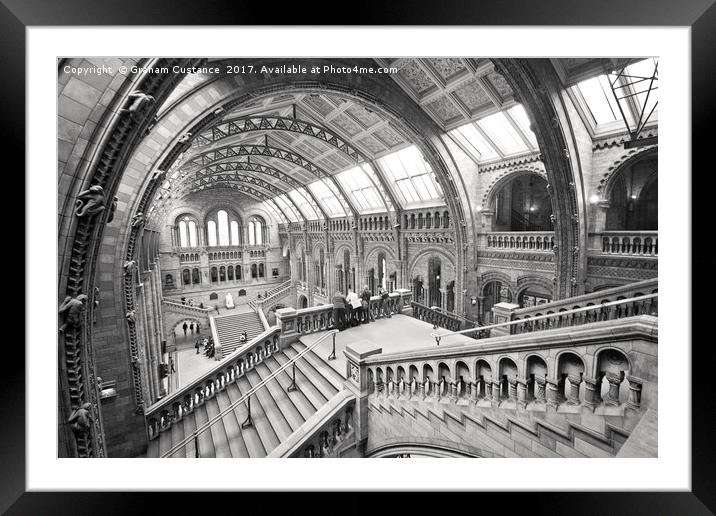 Natural History Museum, London Framed Mounted Print by Graham Custance