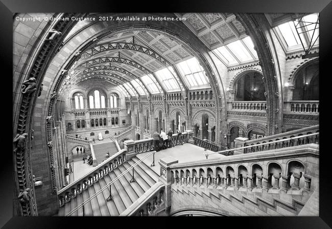 Natural History Museum, London Framed Print by Graham Custance