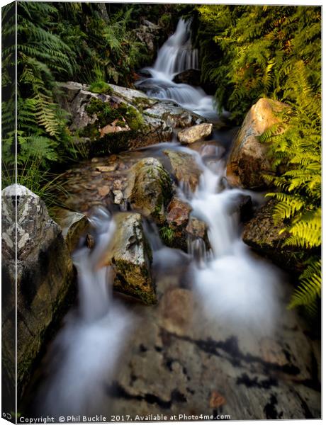 Cinderdale Beck Canvas Print by Phil Buckle