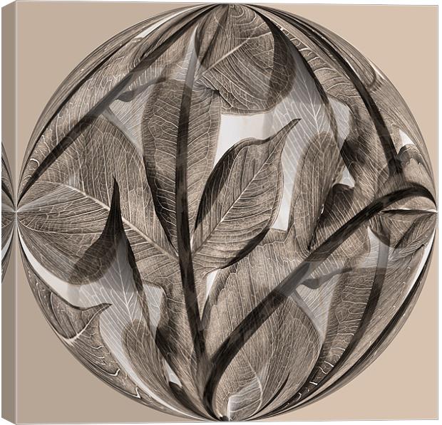 Sepia leaf globe Canvas Print by Heather Newton