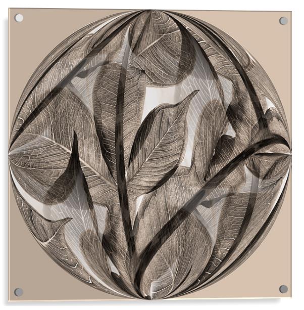 Sepia leaf globe Acrylic by Heather Newton