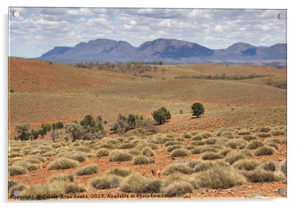 Wilpena Pound, Flinders Ranges in the Spring Acrylic by Carole-Anne Fooks