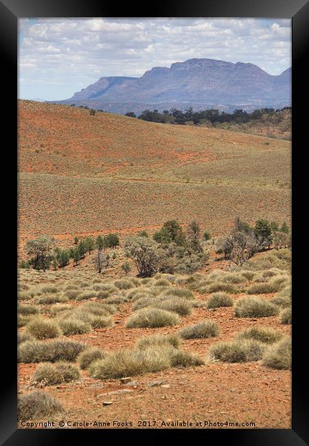 Wilpena Pound, Flinders Ranges in the Spring Framed Print by Carole-Anne Fooks