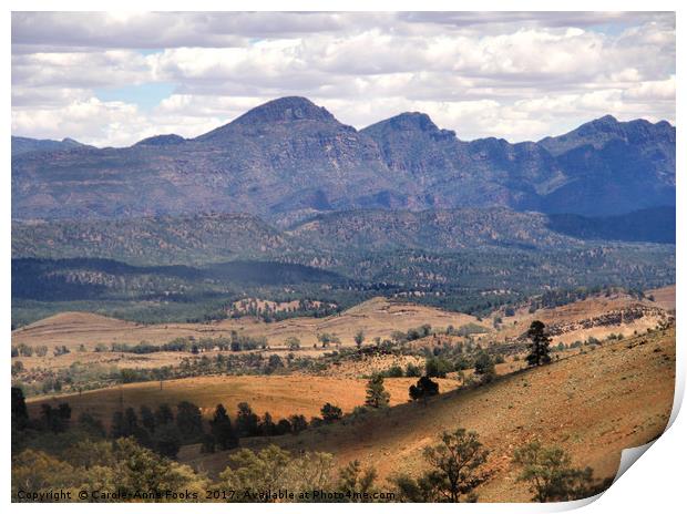 Wilpena Pound, Flinders Ranges in the Spring Print by Carole-Anne Fooks