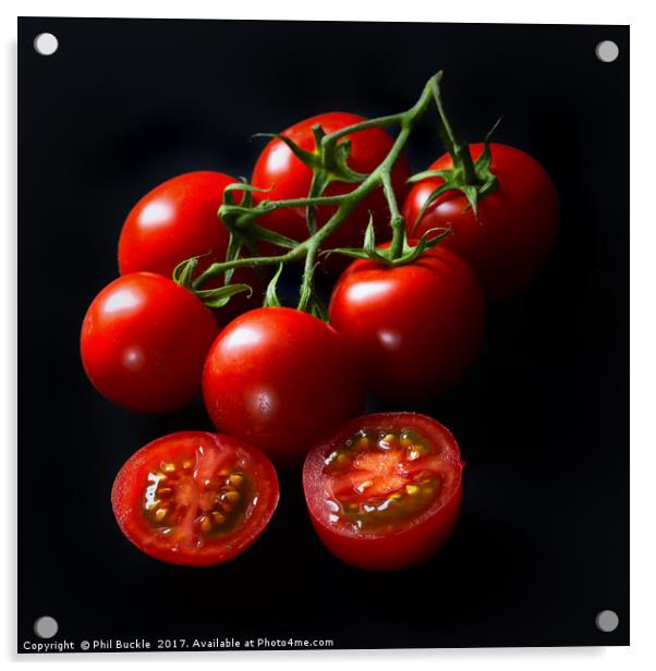 Vine Tomatoes Acrylic by Phil Buckle