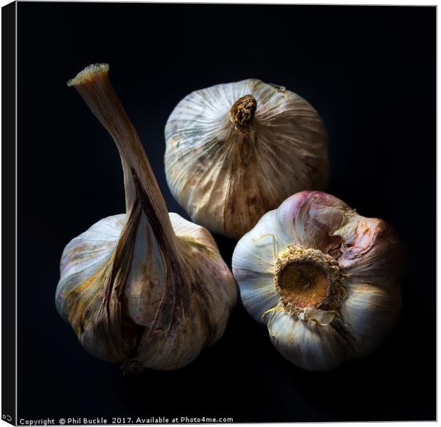 Garlic Bulbs Canvas Print by Phil Buckle