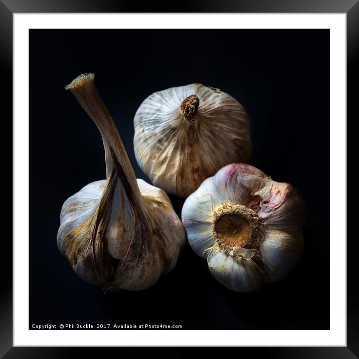Garlic Bulbs Framed Mounted Print by Phil Buckle