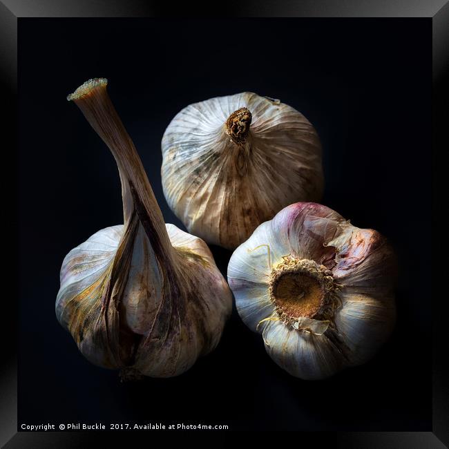 Garlic Bulbs Framed Print by Phil Buckle