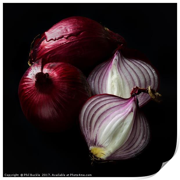 Red Onions Print by Phil Buckle