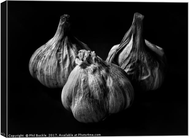 Garlic Bulbs Black and White Canvas Print by Phil Buckle