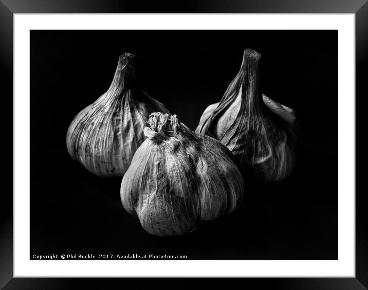 Garlic Bulbs Black and White Framed Mounted Print by Phil Buckle