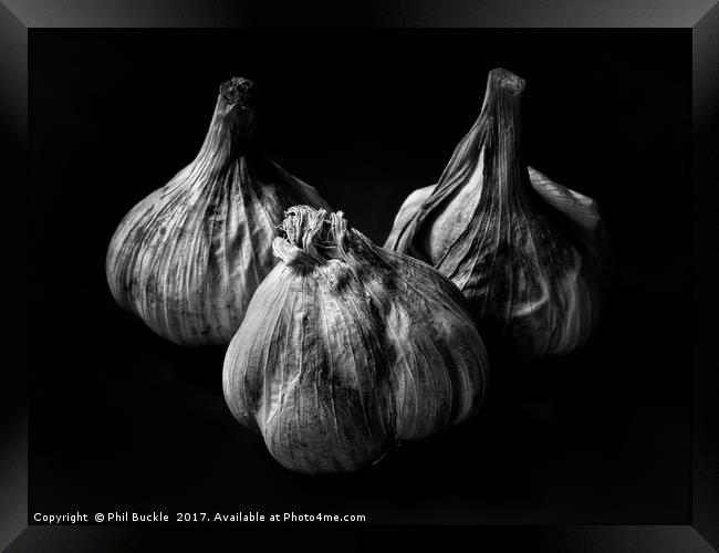 Garlic Bulbs Black and White Framed Print by Phil Buckle