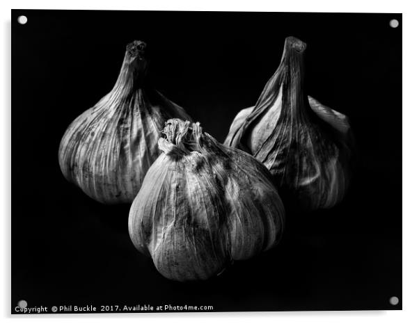Garlic Bulbs Black and White Acrylic by Phil Buckle