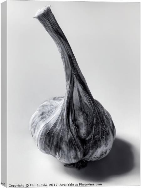 Garlic Bulb Black and White Canvas Print by Phil Buckle