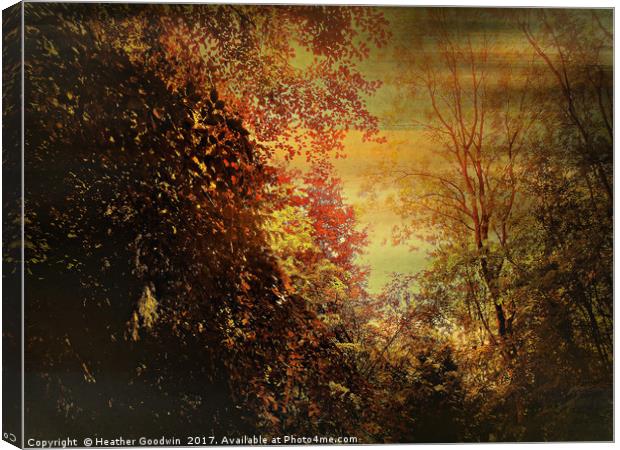 Autumn Canopy. Canvas Print by Heather Goodwin