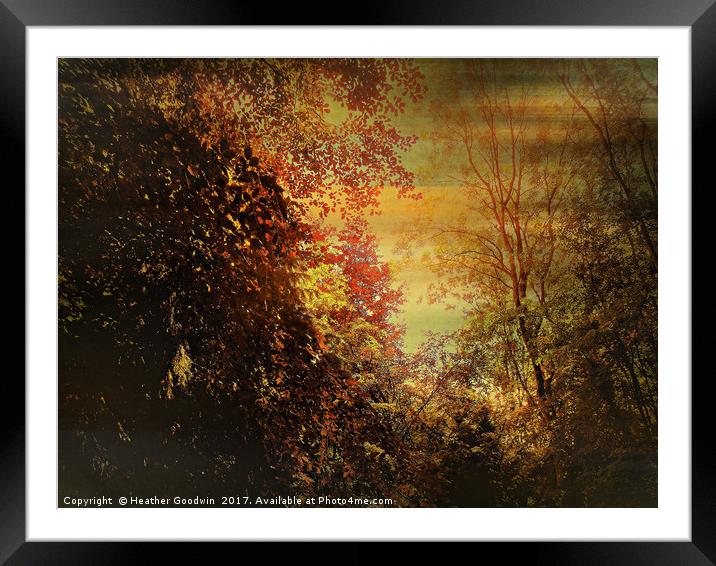 Autumn Canopy. Framed Mounted Print by Heather Goodwin