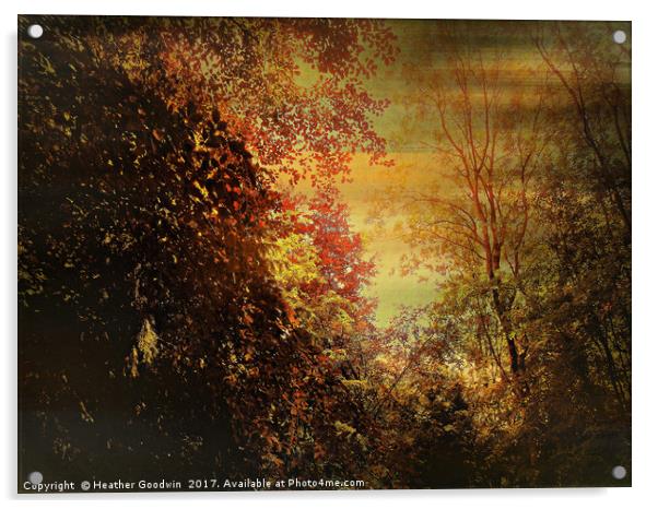 Autumn Canopy. Acrylic by Heather Goodwin