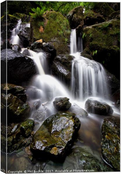 Ladore Falls Wet Rocks Canvas Print by Phil Buckle