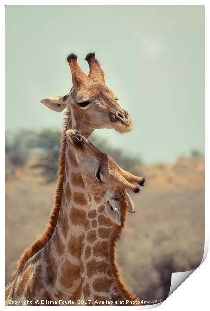 Giraffe Print by Elizma Fourie