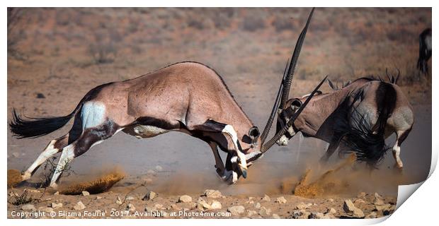 Fighting Oryx Print by Elizma Fourie