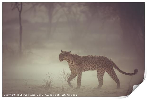 Leopard in a dust strom Print by Elizma Fourie