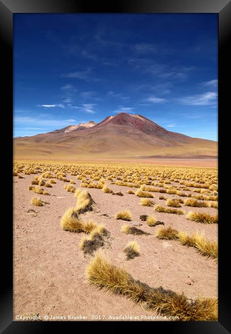 El Tatio volcano and Puna Grassland Chile Framed Print by James Brunker