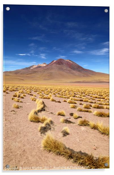 El Tatio volcano and Puna Grassland Chile Acrylic by James Brunker