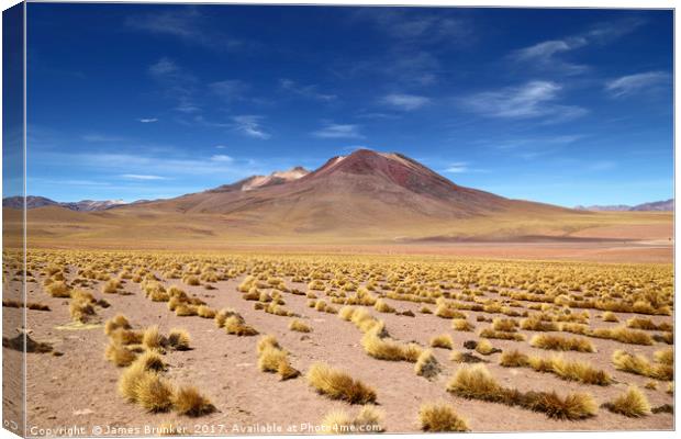 El Tatio volcano Atacama Desert Chile Canvas Print by James Brunker