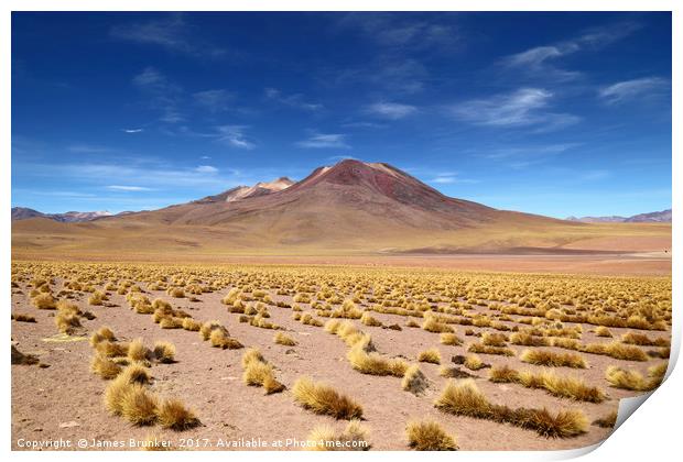 El Tatio volcano Atacama Desert Chile Print by James Brunker