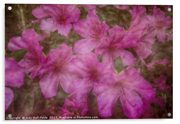 Springtime Beauty Acrylic by Judy Hall-Folde