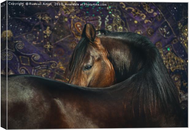 Horse Portrait with Carpet Canvas Print by Russian Artist 