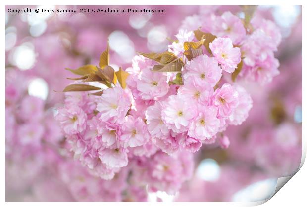 Kwanzan Cherry tree blooming branch Print by Jenny Rainbow