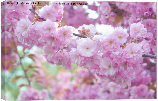 Blooming branch of Kwanzan Cherry tree  Canvas Print by Jenny Rainbow