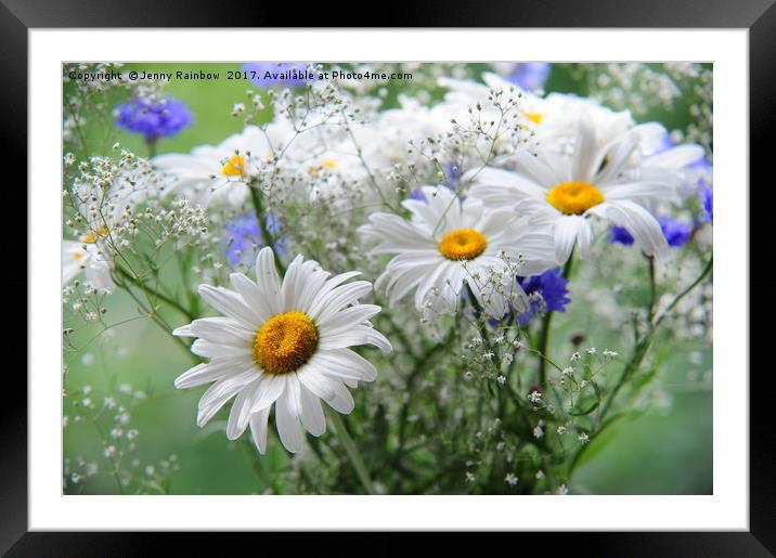 Daisies and Cornflowers Bouquet                    Framed Mounted Print by Jenny Rainbow