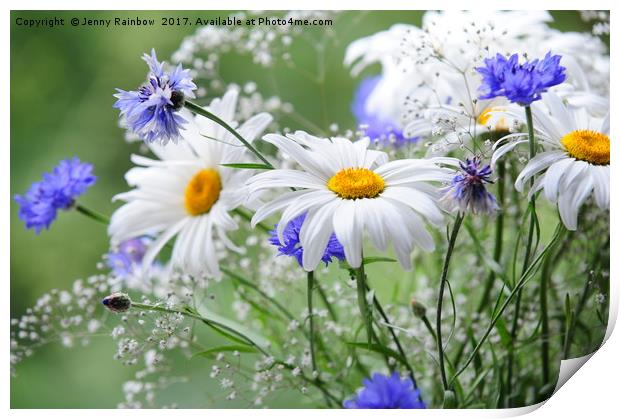 Daisies and Cornflowers                            Print by Jenny Rainbow