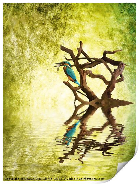 Kingfishers Supper Print by Sharon Lisa Clarke
