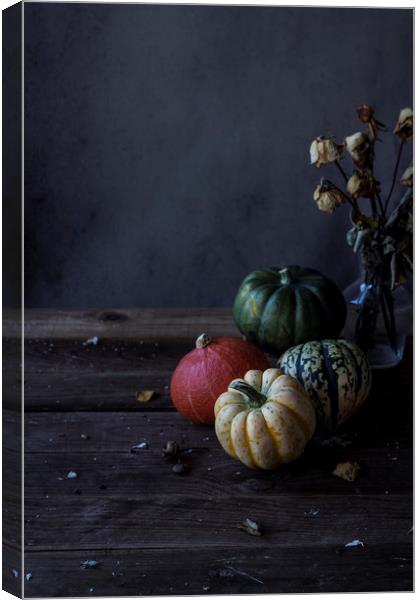 Decorative pumpkins Canvas Print by Denitsa Karan