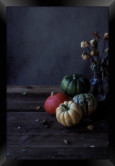 Decorative pumpkins Framed Print by Denitsa Karan