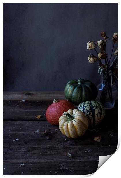 Decorative pumpkins Print by Denitsa Karan