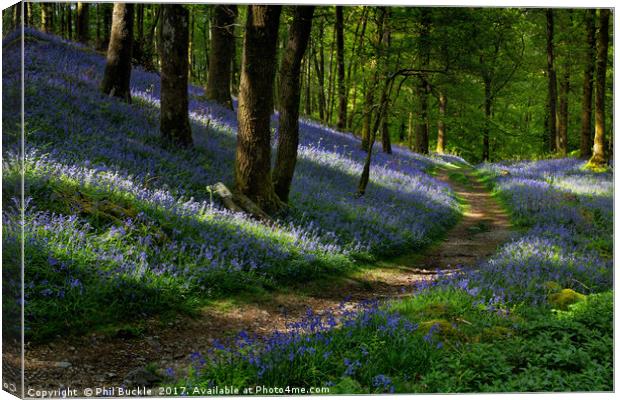 Pathway through the Bluebells Canvas Print by Phil Buckle