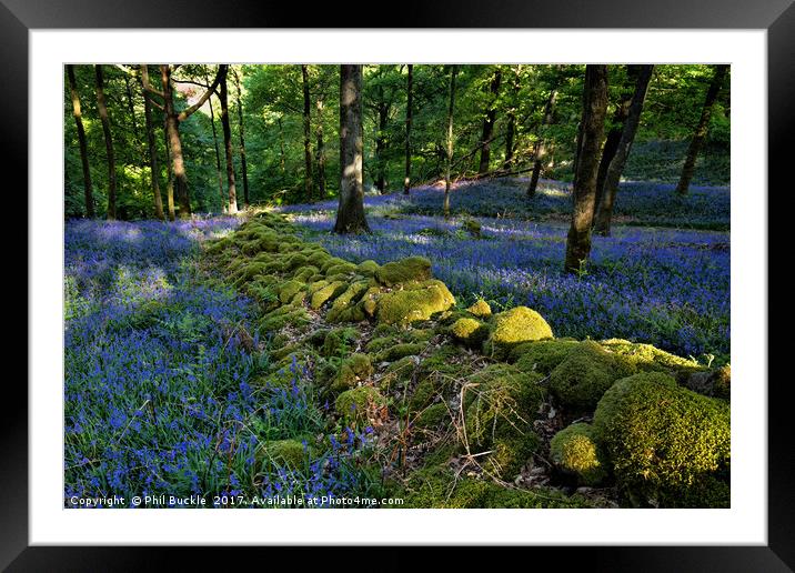 Moss River through Fishgarths Wood Framed Mounted Print by Phil Buckle