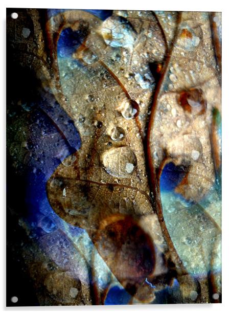 raindrops on oak leaf Acrylic by Heather Newton