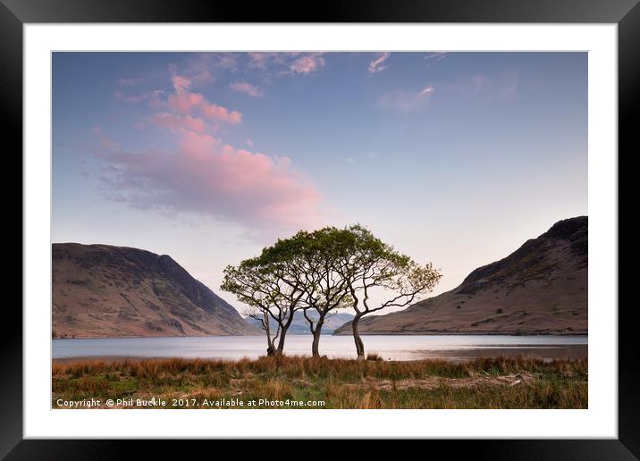 Crummock Water Trees Sunrise Framed Mounted Print by Phil Buckle