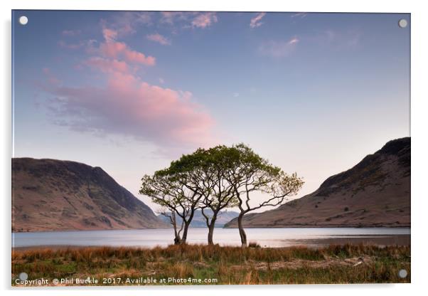 Crummock Water Trees Sunrise Acrylic by Phil Buckle