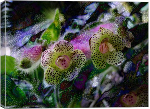 hothouse flowers Canvas Print by Heather Newton